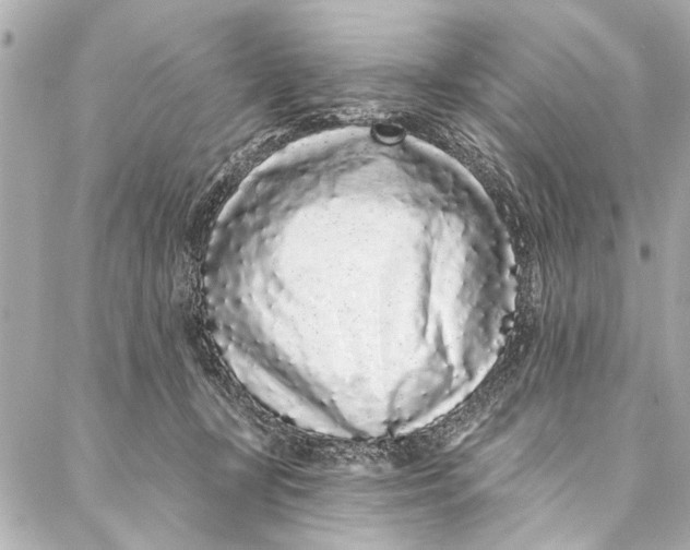 X0000086950367200705071449