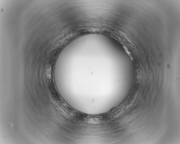 X0000086950368200705071449