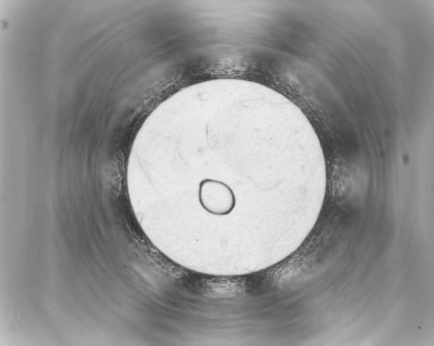 X0000086950370200705071449