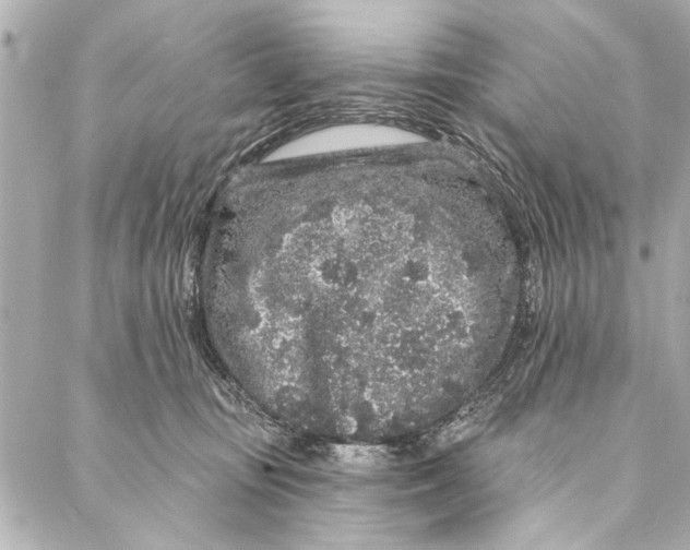 X0000086950371200705071449