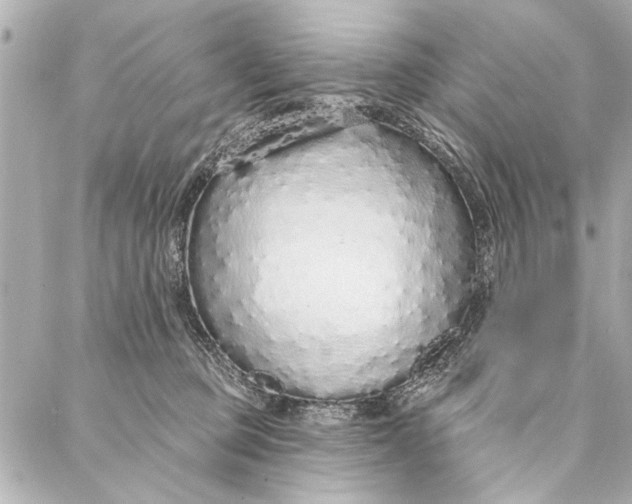 X0000086950373200705071449