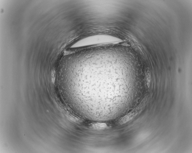 X0000086950374200705071449