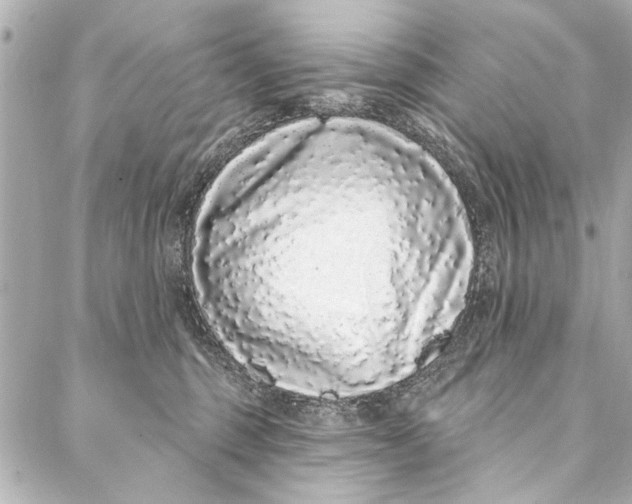 X0000086950375200705071449