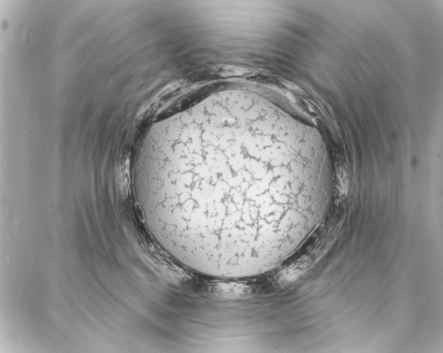 X0000086950376200705071449