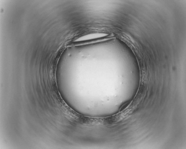 X0000086950377200705071449