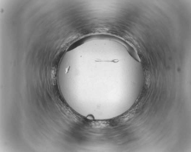 X0000086950378200705071449