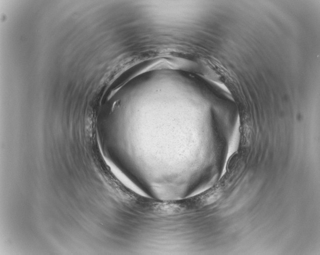 X0000086950379200705071449