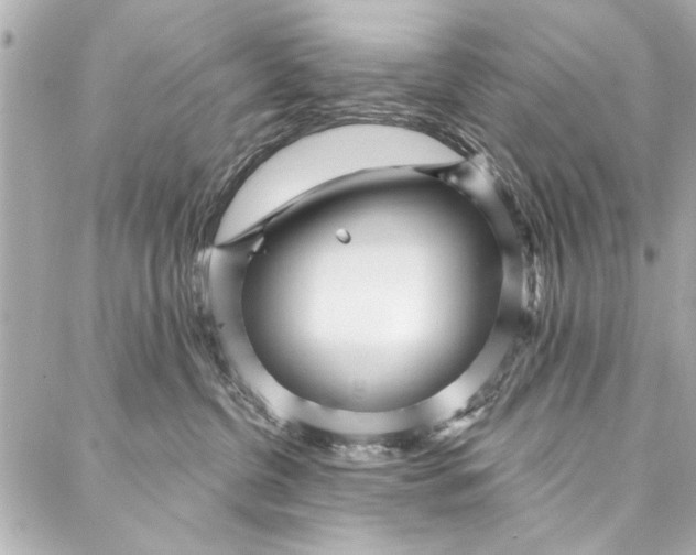 X0000086950380200705071449