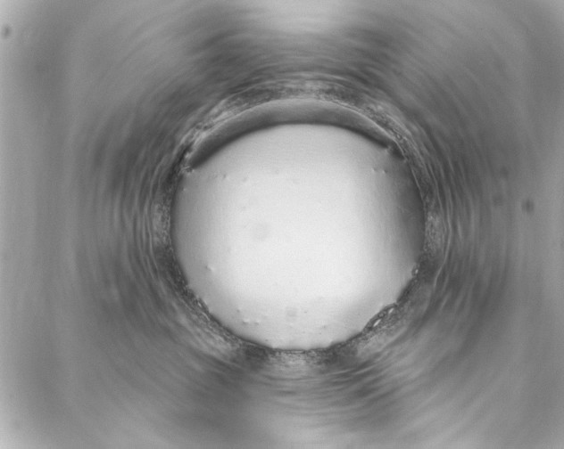 X0000086950381200705071449