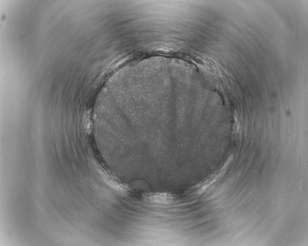 X0000086950383200705071449