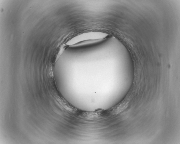 X0000086950384200705071449