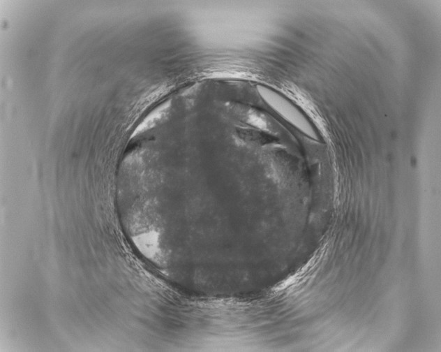 X0000086950385200705071448