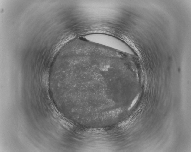 X0000086950386200705071448