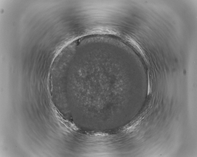 X0000086950387200705071448