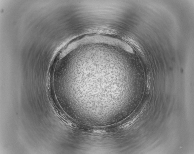 X0000086950388200705071448