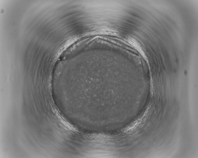 X0000086950389200705071448