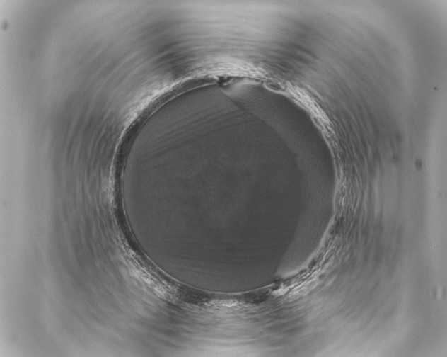 X0000086950391200705071448