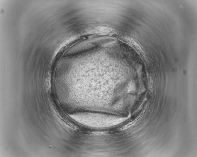 X0000086950392200705071448