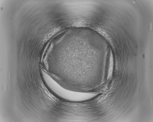 X0000086950393200705071448