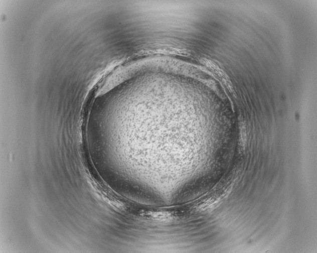 X0000086950395200705071448