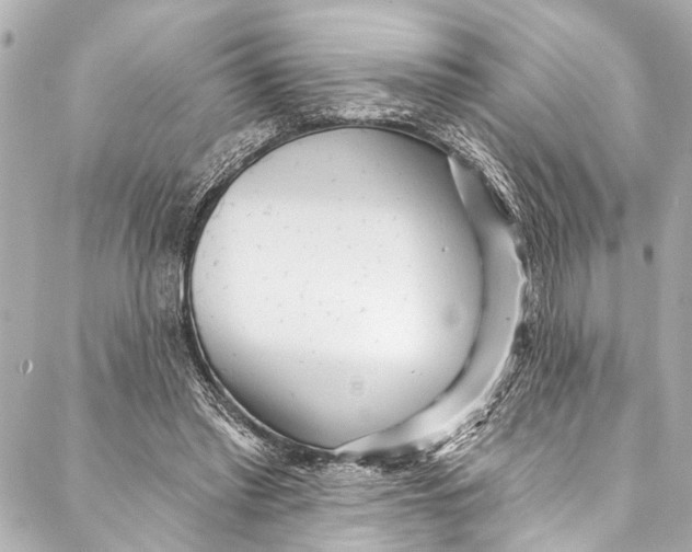 X0000086950397200705071448