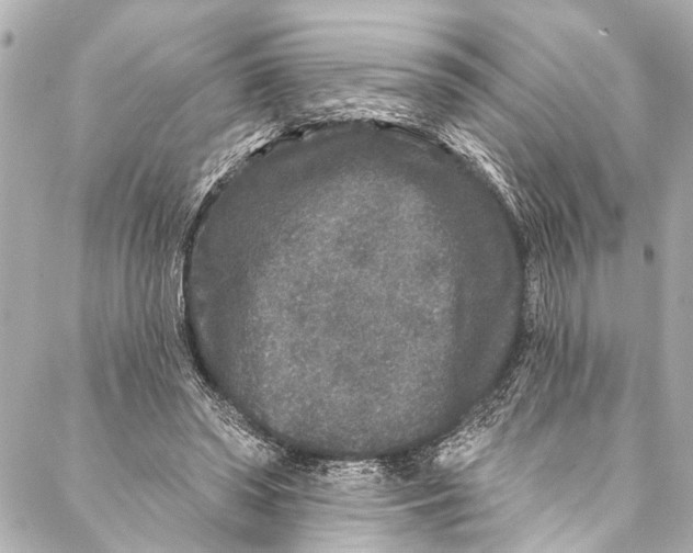 X0000086950398200705071448