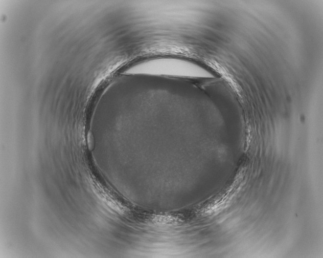 X0000086950399200705071448