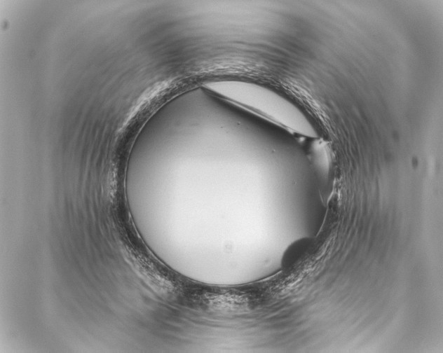 X0000086950400200705071448