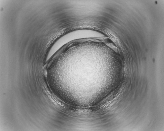 X0000086950401200705071448