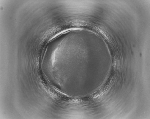 X0000086950402200705071448