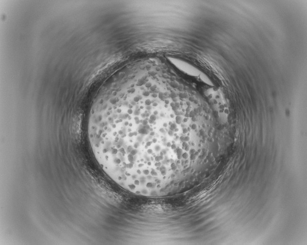 X0000086950404200705071448