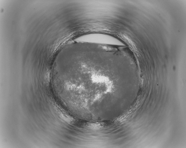 X0000086950405200705071448