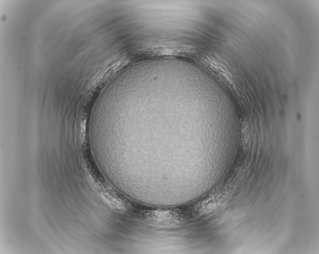 X0000086950406200705071448