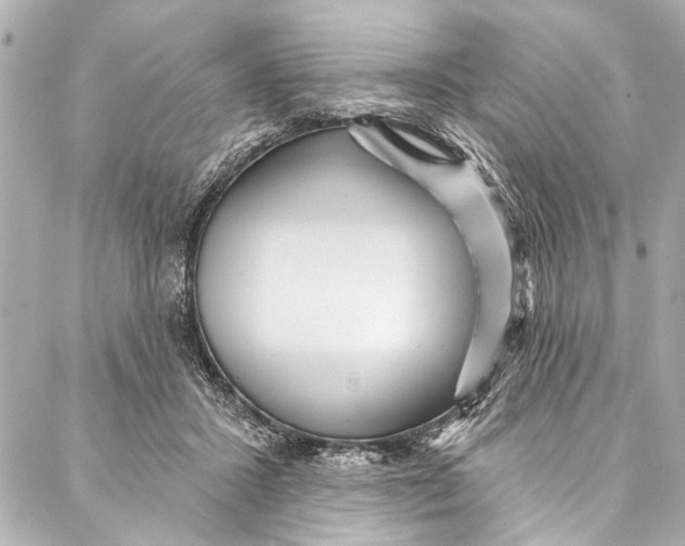 X0000086950407200705071448