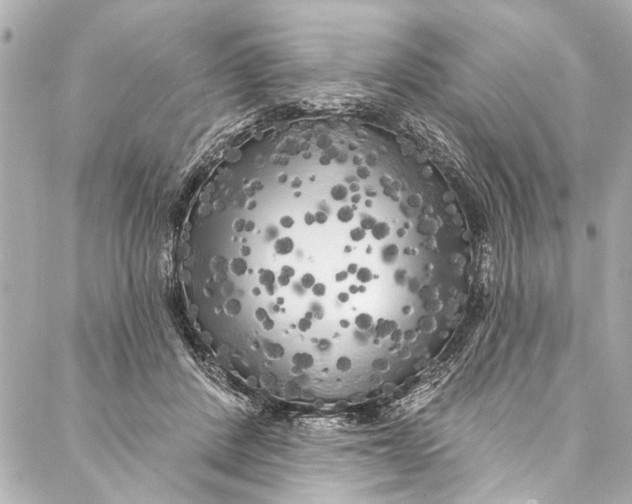 X0000086950408200705071448