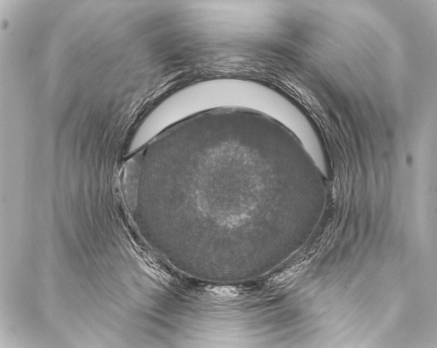 X0000086950409200705071448