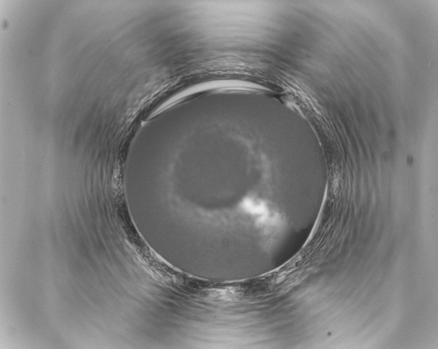 X0000086950411200705071448