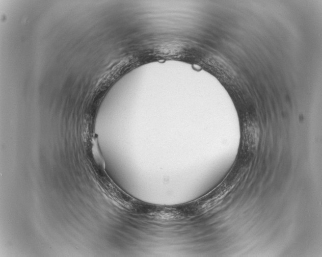 X0000086950412200705071448