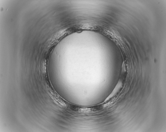 X0000086950413200705071448