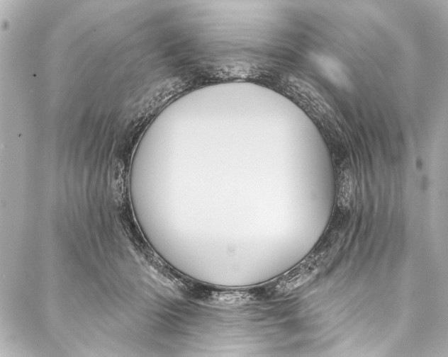 X0000086950414200705071448