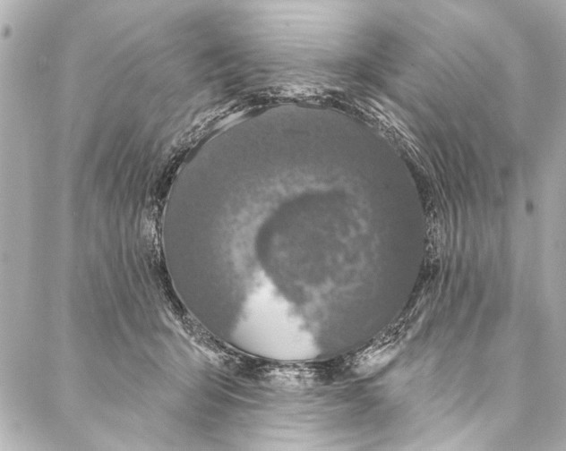 X0000086950415200705071448