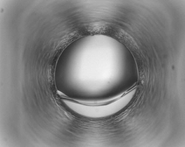 X0000086950416200705071448