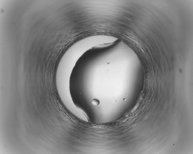 X0000086950417200705071448