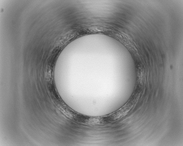 X0000086950418200705071448