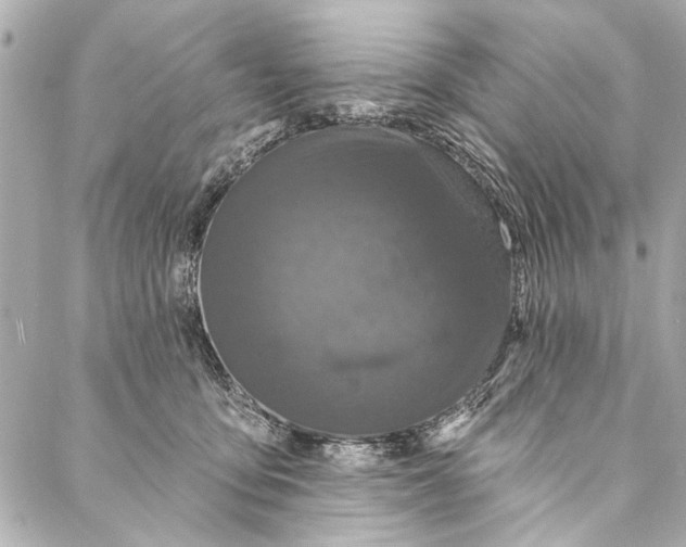 X0000086950419200705071448