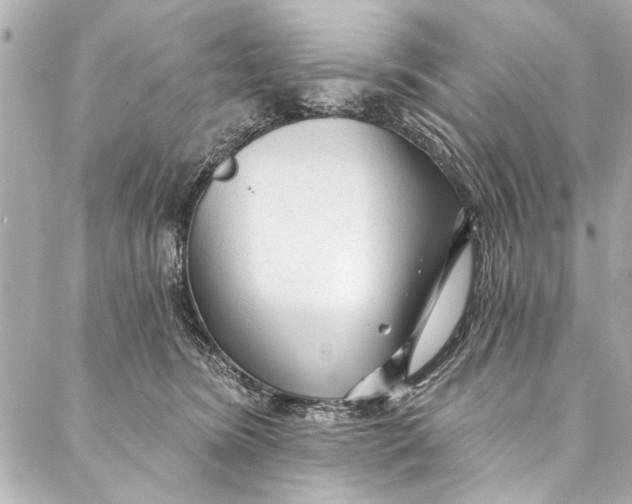 X0000086950420200705071448