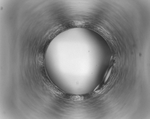 X0000086950421200705071448