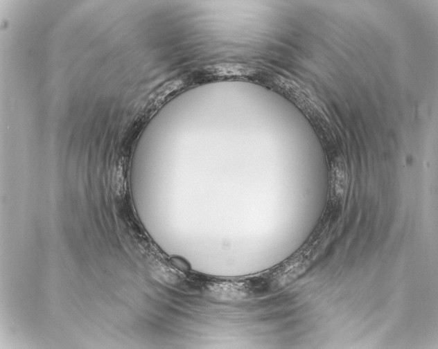 X0000086950422200705071448