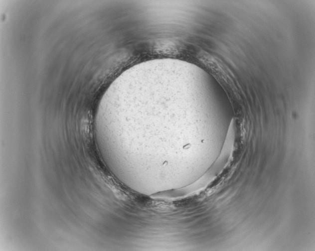 X0000086950424200705071448