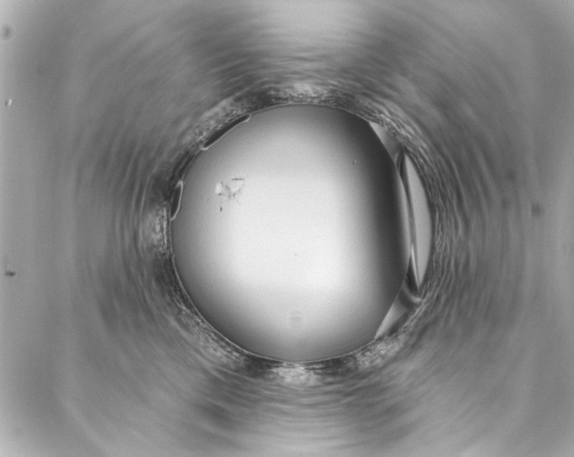 X0000086950425200705071448